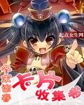 《卡片收集者 》