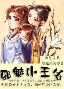 《邪魅小王爷》