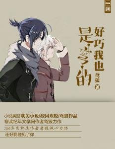 《好巧,我也是弯的》