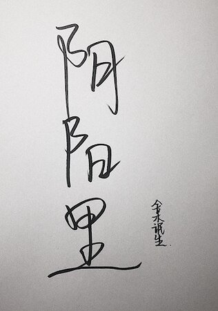 阴阳里