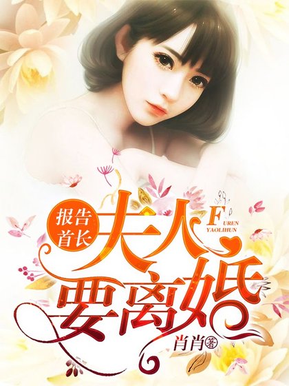《报告首长,夫人要离婚》