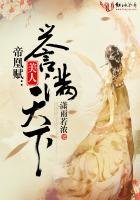 《帝凰賦:美人譽滿天下》