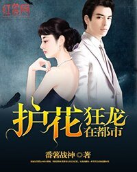 《护花狂龙在都市》