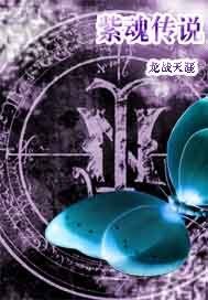 《紫魂传说》