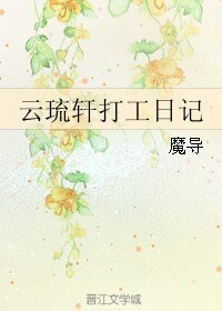 《(霹雳同人)云琉轩打工日记》