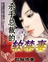冷麪CEO:偷走你的心(原名:殺手總裁的阵猖妻)