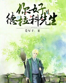 《(HP同人)你好,德拉科先生》