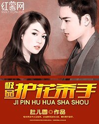 《极品护花杀手》