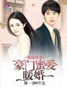 抱抱嬌妻:豪門蜜愛暖婚