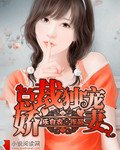 《总裁独宠娇妻/总裁的独宠妻》