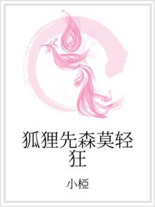狐狸先森莫輕狂