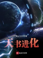 天书进化