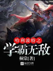 《哈利波特之学霸无敌》