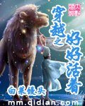 《穿越之好好活著》