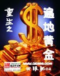 《重生之遍地黄金》