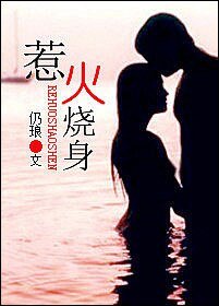 《惹火烧身(高干)》