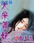 《大宋萧妃》