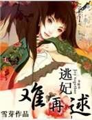 《妃常穿越:逃妃難再逑》