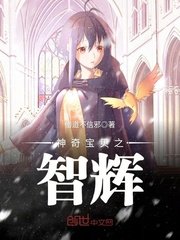 《神奇宝贝之智辉》