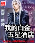 《我的白金五星酒店》