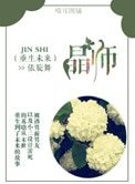 《重生未來之晶師》
