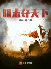 《明末夺天下》