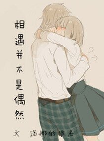 《相遇並不是偶然》