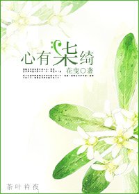 《心有柒綺》