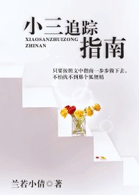 《小三追踪指南》