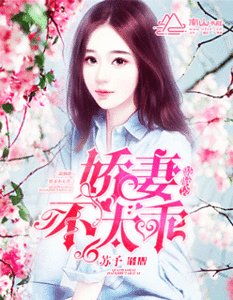 《敲脑袋:娇妻不太乖》