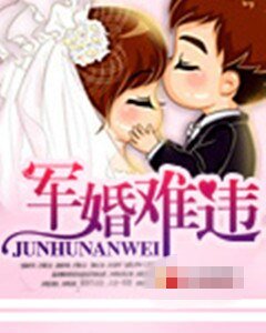 《军婚难违》