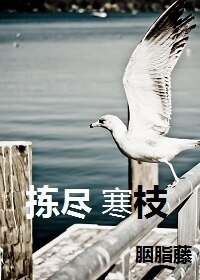 《拣尽寒枝》