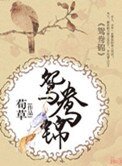 《鸳鸯锦(种田)》