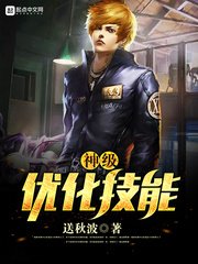 《神級最佳化技能》