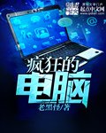 《瘋狂的電腦》