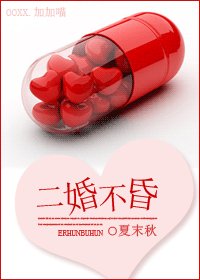 二婚不昏(婚戀)