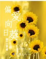 《偏爱向日葵》