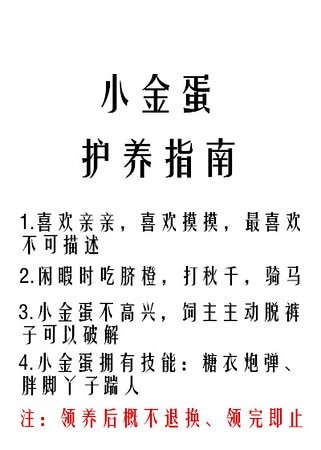 《小金蛋護養指南》