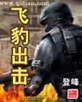 《飛豹出擊》