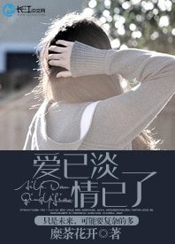 爱已淡,情已了
