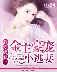《惹爱成瘾:金主豪宠小逃妻》