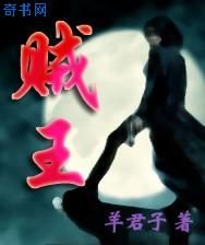 賊王