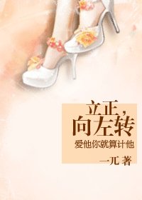 立正,向左轉(軍旅)