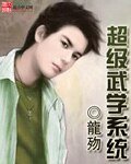 《超級武學系統》