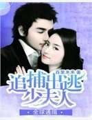 全球通缉:追捕出逃少夫人