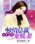 《天才宝贝:独情总裁宠暖妻》