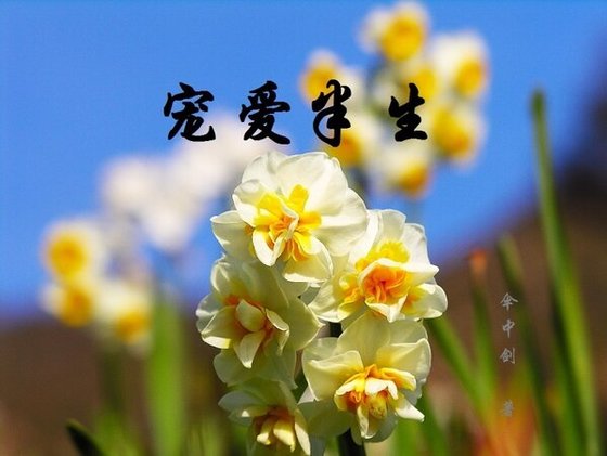 宠爱半生