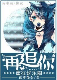 《重征娱乐圈再追你》