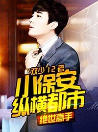《小保安纵横都市:绝世高手》