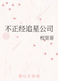 《不正经追星公司》
